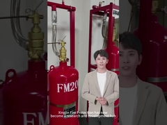 Industriële heptafluorpropaan brandbestrijding Fm200 kasttype